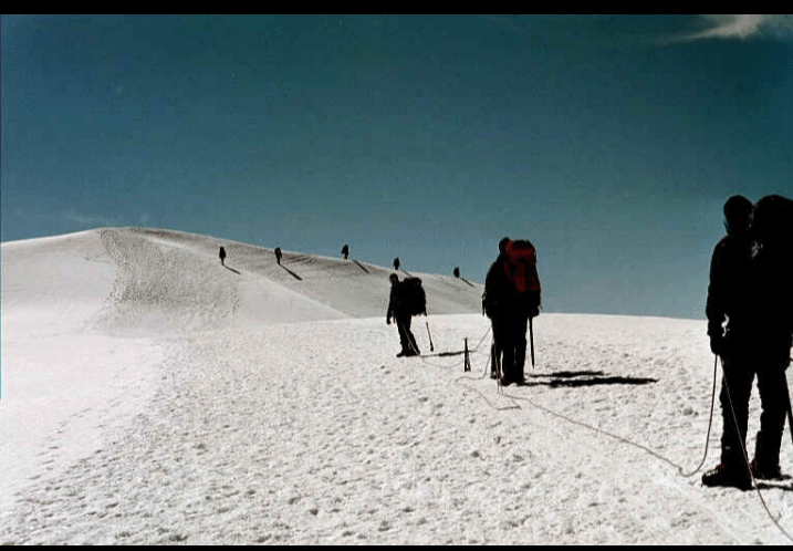 Life: Risky Business