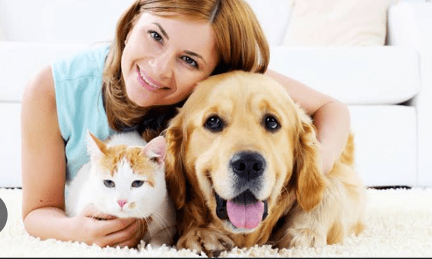 The Perks of Having a Pet: A Source of Joy and&nbsp;Well-being