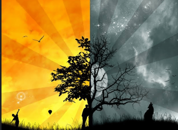 Title: Embracing Your Chronotype: Discovering Whether You’re a Night Owl or Morning&nbsp;Lark